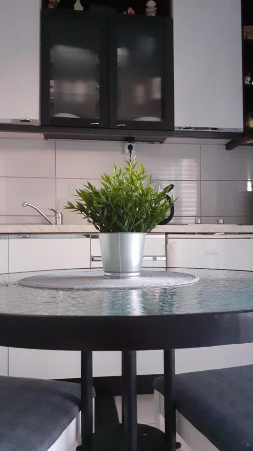 לוזובאק Apartment Viki מראה חיצוני תמונה